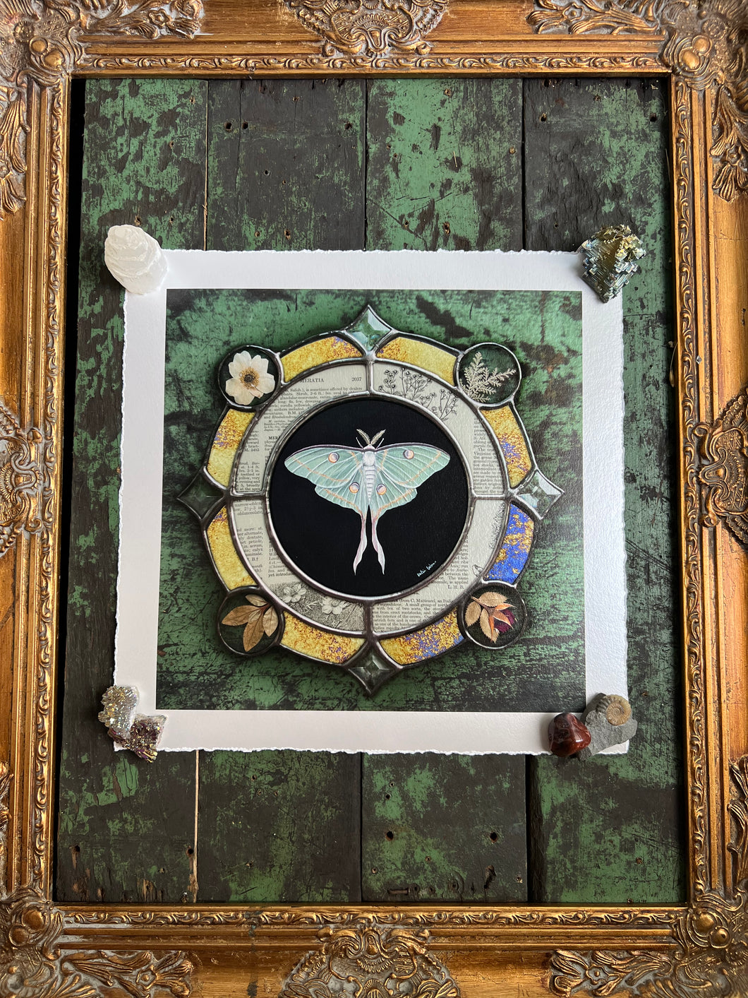 Luna moth medallion print. Luna moth is in central circle on black background with segmented border of vintage book pages. Third and outermost rung is gold mirror with bronze flecks, pressed wildflowers, and glass bevels in alternating border. 12x12