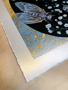Print photo showing metallic shimmer and deck led 1” border - Giclee print of Cicada Life Cycle artwork - gypsophila flowers and black oval background