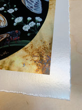 Load image into Gallery viewer, Print photo showing metallic shimmer and deck led 1” border - Giclee print of Cicada Life Cycle artwork - gypsophila flowers and black oval background
