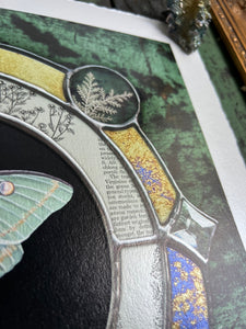 Top right of piece. Shows deckled edge border - Luna moth medallion print. Luna moth is in central circle on black background with segmented border of vintage book pages. Third and outermost rung is gold mirror with bronze flecks, pressed wildflowers, and glass bevels in alternating border. 12x12" reproduction giclée print of Vintage Luna with a 1.25" deckled edge border and silver lace fern in top right