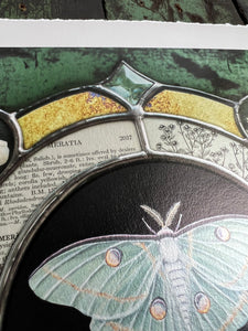 Top view of print, showing top of Luna moth and diamond bevel at top center. Luna moth medallion print. Luna moth is in central circle on black background with segmented border of vintage book pages. Third and outermost rung is gold mirror with bronze flecks, pressed wildflowers, and glass bevels in alternating border. 12x12" reproduction giclée print of Vintage Luna with a 1.25" deckled edge border