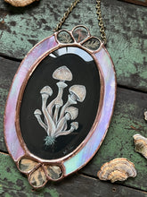 Load image into Gallery viewer, Alternate view on solid background - Gouache and holographic powder on paper with pressed wild mushroom, fern, and cosmos flowers set between pink rainbow iridescent glass border
