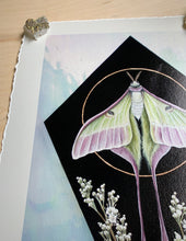 Load image into Gallery viewer, Top left view of print. Full view - print on paper of Chinese moon moth and meadowsweet on black background, diamond shape. This sits in a white iridized glass background. There is a gold circle around the center of the moon moth. Meadowsweet flower painted below and surrounding moths lower wing tendrils.
