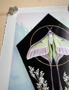Top left view of print. Full view - print on paper of Chinese moon moth and meadowsweet on black background, diamond shape. This sits in a white iridized glass background. There is a gold circle around the center of the moon moth. Meadowsweet flower painted below and surrounding moths lower wing tendrils.