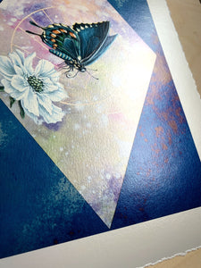 Alternate close up showing metallic shine. Spicebush swallowtail on scabious with pink/purple/yellow hand dyed diamond backdrop set on blue mirrored glass that reflects the original glass on artwork. 12x8" reproduction giclée print of Spicebush Swallowtail + Scabiosa with a 1.25" deckled edge border 