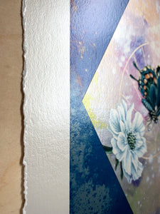 Alternate view showing shine - Spicebush swallowtail on scabious with pink/purple/yellow hand dyed diamond backdrop set on blue mirrored glass that reflects the original glass on artwork. 12x8" reproduction giclée print of Spicebush Swallowtail + Scabiosa with a 1.25" deckled edge border 