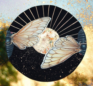 Sun Moon print of original cicada artwork. Two cicadas painted within a circle shape. Cicadas are bisected down center and each is facing the opposite direction. Black background with gold paint showing sunburst on one half and stars on the second half. Gold background that reflects the mirror used the original artwork. 8x8" reproduction giclée print of Sun | Moon Cicada with a 1.25" deckled edge border