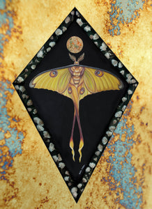 Photo shows printed image only - 8x12" reproduction giclée print of Comet Moth + Gypsophila 