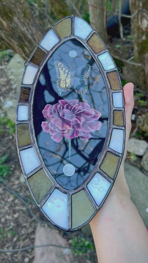 Video showing all angles of bilateral gynandromorph swallowtail and carnation Art. Oval shape, shown held in hand.