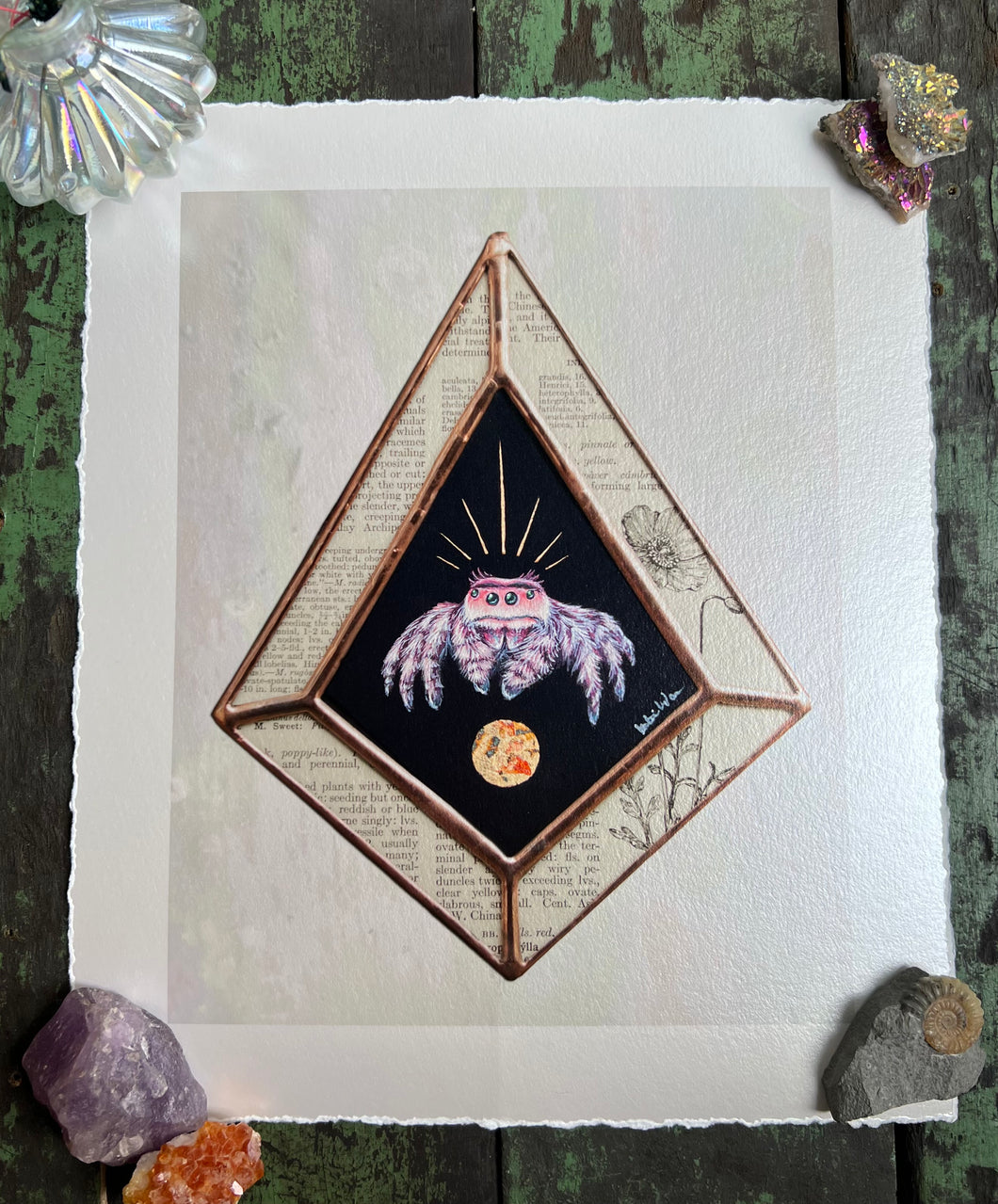 Pink jumping spider on black background (diamond shape), with border of piece vintage book inclusions showing words and poppy illustration. On light white/grey iridescent background. 8x10