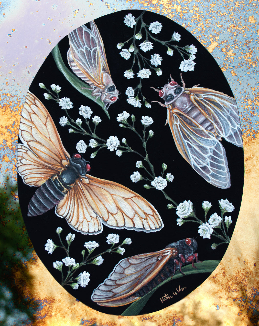 Giclee print of Cicada Life Cycle artwork - gypsophila flowers and black oval background